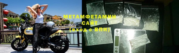 сатива Новодвинск