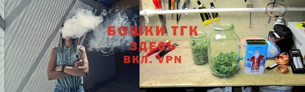 молекула духа Болхов