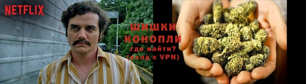 крисы Магас
