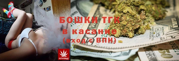 молекула духа Болхов