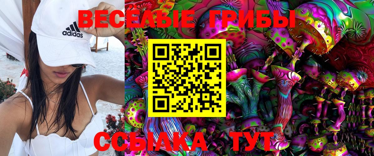 Псилоцибиновые грибы ЛСД Луга