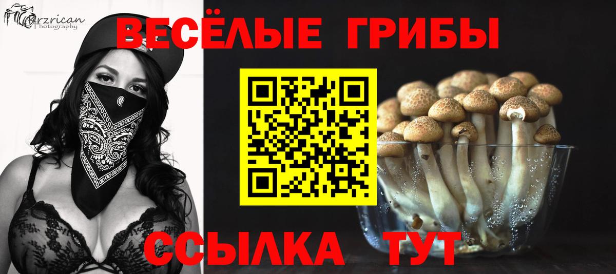 Луга  Галлюциногенные грибы GOLDEN TEACHER  Галлюциногенные грибы Psilocybe  Вход с VPN 