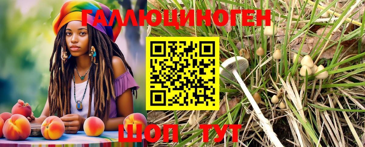 Галлюциногенные грибы мицелий Луга